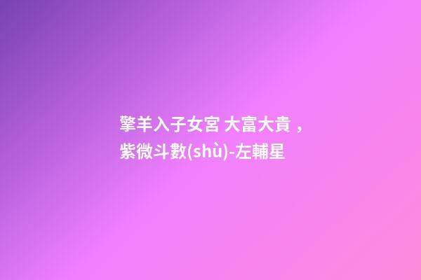 擎羊入子女宮 大富大貴，紫微斗數(shù)-左輔星-第1張-觀點(diǎn)-玄機(jī)派